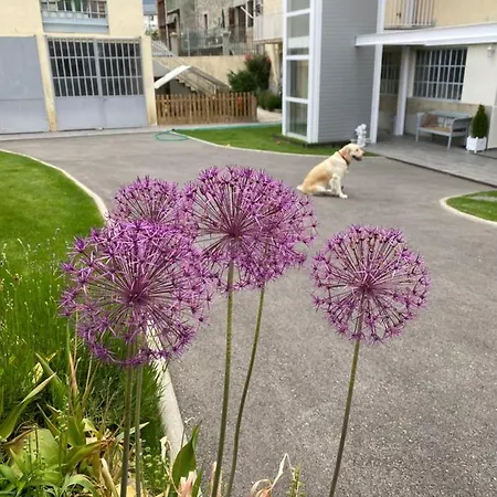 Chez Helene 3 Etoiles, Labellise Disabled Pmr,pour 4 Personnes Chiens Bienvenus-pet Friendly Bourg-Madame