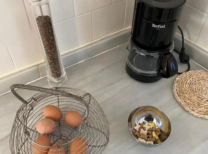 Chez Helene 3 Etoiles, Labellise Disabled Pmr,pour 4 Personnes Chiens Bienvenus-pet Friendly Apartmán *
