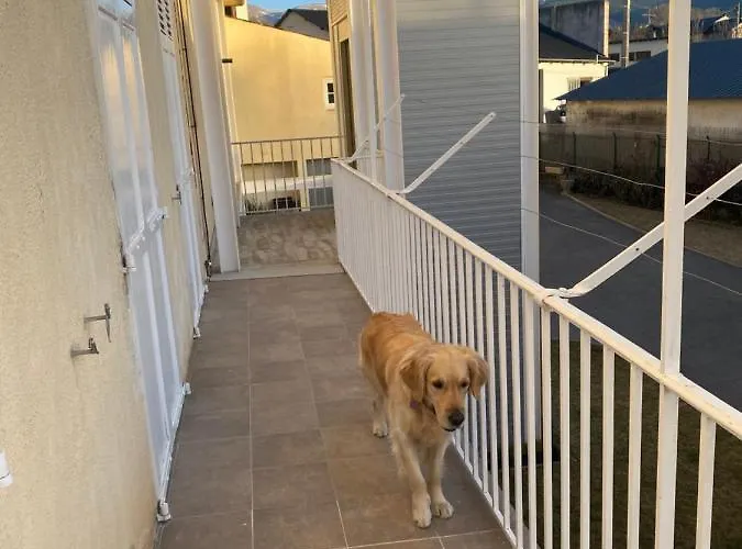 Chez Hélène 3 étoiles, Labellisé Disabled Pmr,pour 4 Personnes Chiens Bienvenus-pet Friendly